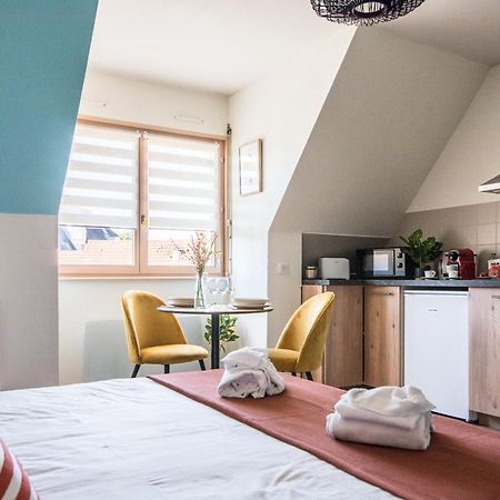 Lumineux - L'Oasis - Parking Prive Daire Strazburg Dış mekan fotoğraf